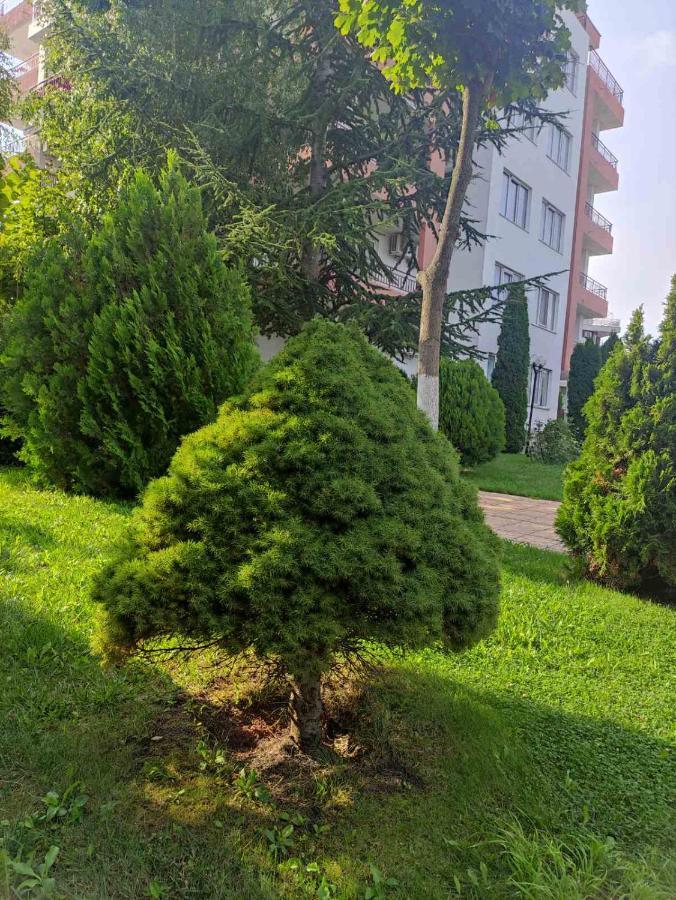 Ravda Sea View Apartment Екстериор снимка